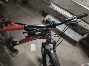 Phoenix Cycle