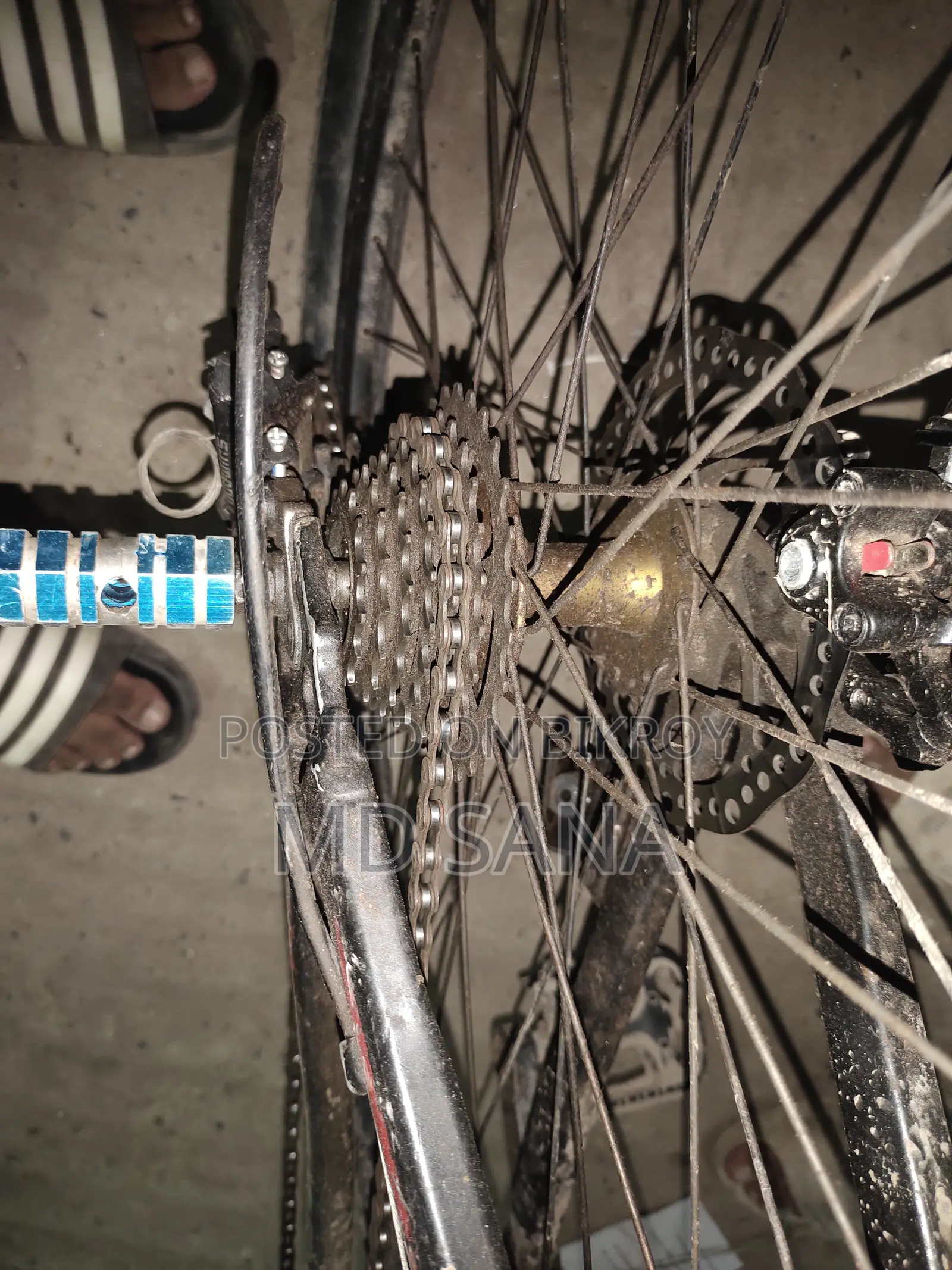 Phoenix Cycle