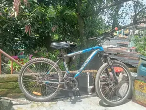 Duranta Nongear Scorpian 26" Blue