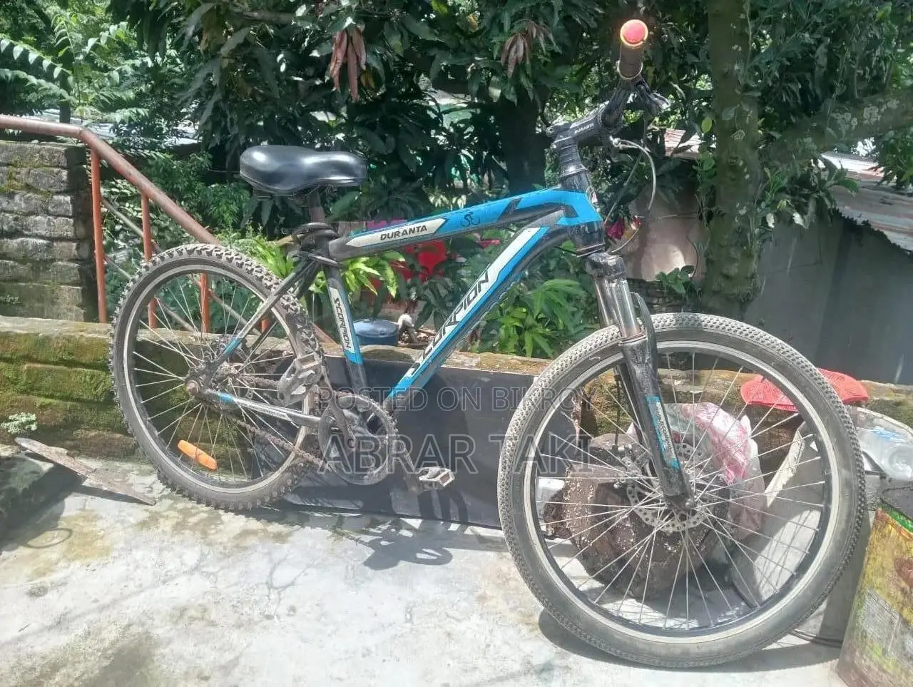 Duranta Nongear Scorpian 26" Blue