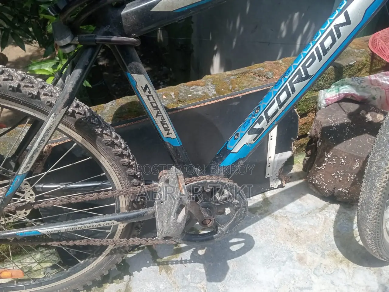 Duranta Nongear Scorpian 26" Blue
