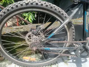 Duranta Nongear Scorpian 26" Blue