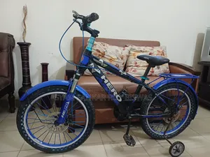 20 Inch Bicycle Hero D/D With Side Wheels (Bicycle for 7-12 years)