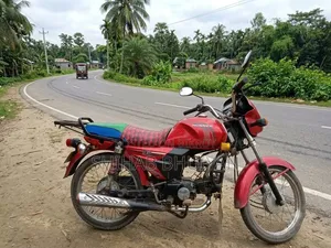 Runner BIKE RT 80 2020 Red