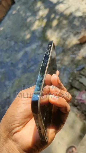 Apple iPhone 12 Pro Max 128 GB Blue