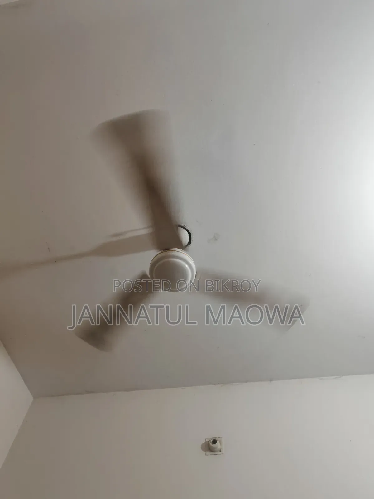 Ceiling Fan