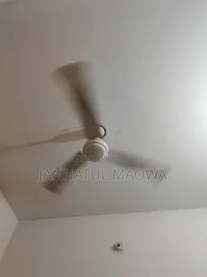 Ceiling Fan