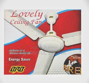 Ceiling Fan