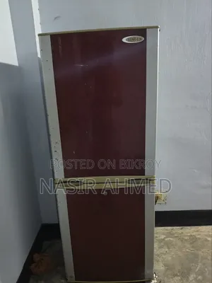 রানিং ফ্রিজ সিংগার