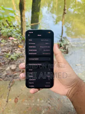 অ্যাপল আইফোন ১৩ প্রো ম্যাক্স ২৫৬ জিবি নীল