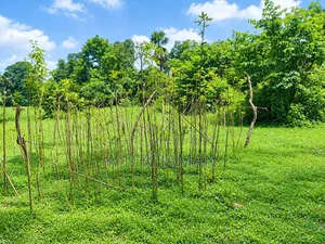 গাজীপুর সাতানি পাড়া জমি বিক্রয়