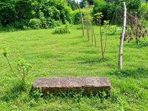 গাজীপুর সাতানি পাড়া জমি বিক্রয়