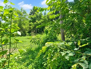 গাজীপুর সাতানি পাড়া জমি বিক্রয়