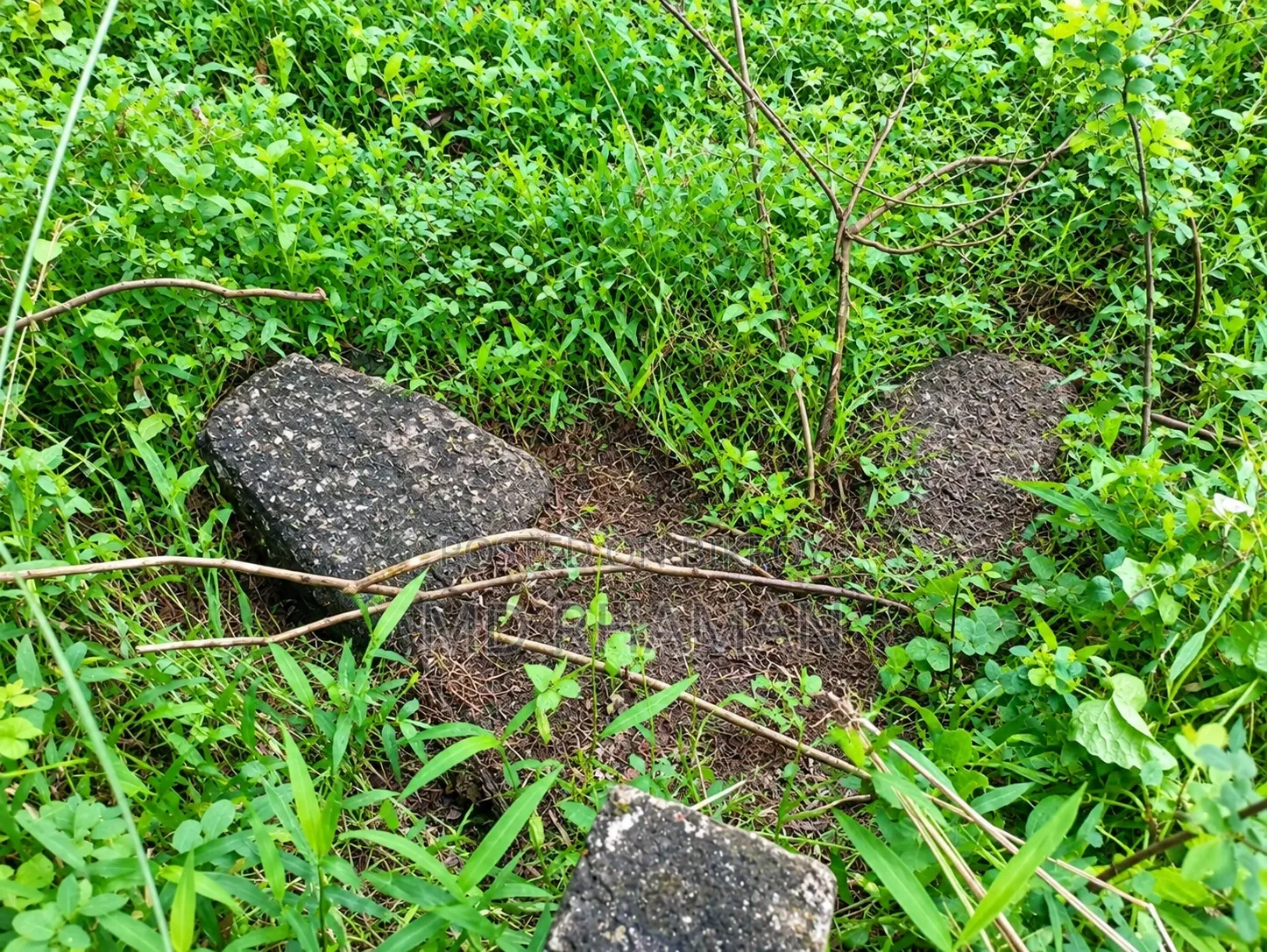 গাজীপুর সাতানি পাড়া জমি বিক্রয়