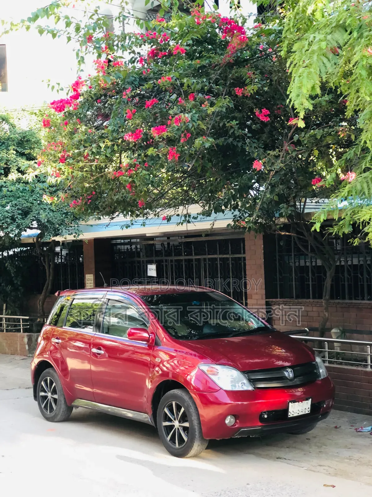 টয়োটা আইএসটি ২০০৩ মেরুন