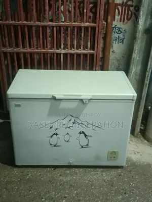 ৩০০ লিটার রানিং ইকুপ্লাস ফিরিজ বিক্রি করা হবে।