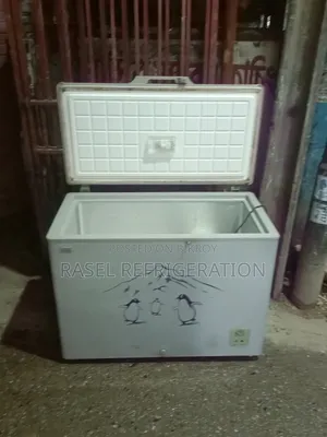 300-liter running Equplus refrigerator for sale.