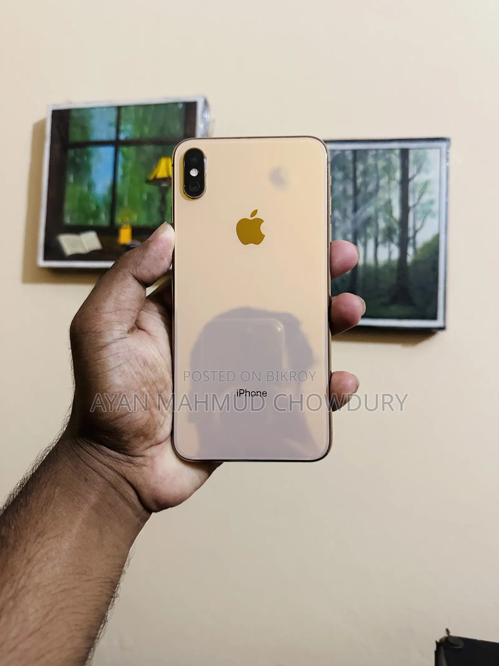 অ্যাপল আইফোন এক্সএস ম্যাক্স ৬৪ জিবি রোজ গোল্ড