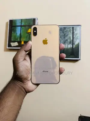 অ্যাপল আইফোন এক্সএস ম্যাক্স ৬৪ জিবি রোজ গোল্ড