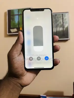 অ্যাপল আইফোন এক্সএস ম্যাক্স ৬৪ জিবি রোজ গোল্ড