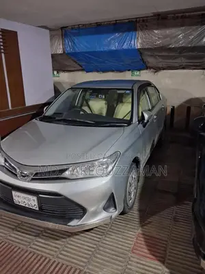 Toyota Axio 1.5 X 4WD 2018 Silver