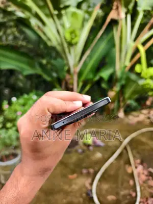 Vivo X100 256 GB Black