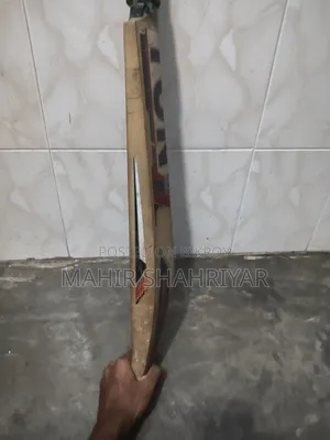 উইলো ক্রিকেট ব্যাট