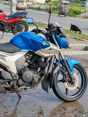 Yamaha FZ 2011 Blue