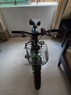 Baby Cycle