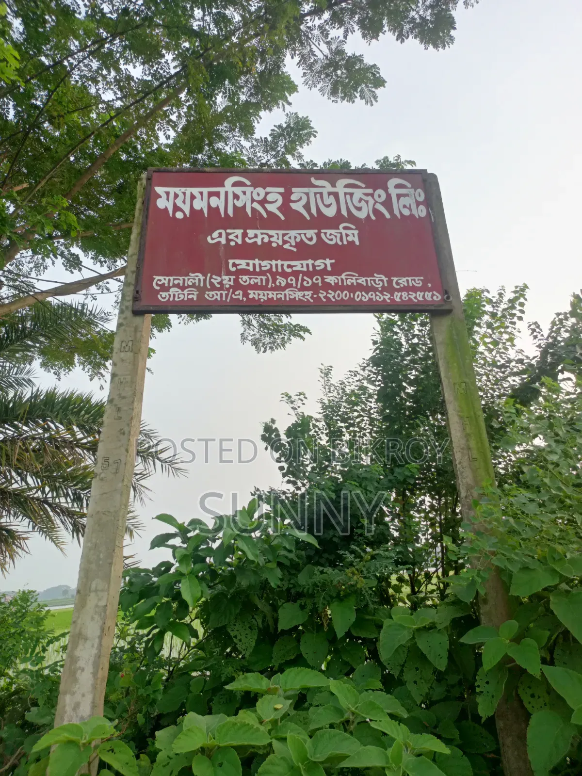 Land for Sale