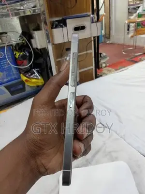 অ্যাপল আইফোন ১৩ প্রো ম্যাক্স ২৫৬ জিবি সাদা