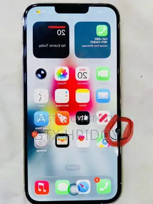 অ্যাপল আইফোন ১৩ প্রো ম্যাক্স ২৫৬ জিবি সাদা