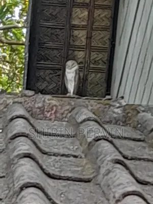 আবাসিক প্লট বিক্রয়