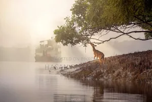 ল্যাপটপ ডেল ল্যাটিটিউড ৭৪৯০ ৮জিবি ইন্টেল কোর আই৫ এইচসিসি+এসএসডি ২৫৬জিবি