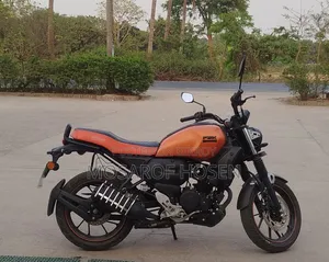 ইয়ামাহা এফজেড-এক্স ২০২৪ কমলা