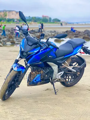 বাজাজ পালসার এন২৫০ ২০২৪ নীল
