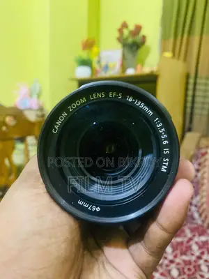 Canon 18-135mm IS STM Lens