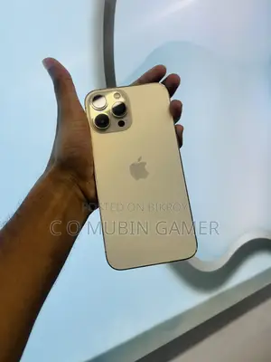 Apple iPhone 13 Pro Max 256 GB Gold