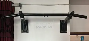 Wall Mounted Pull Up Bar