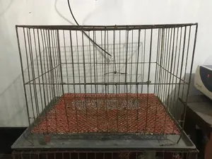 Cage for Sale