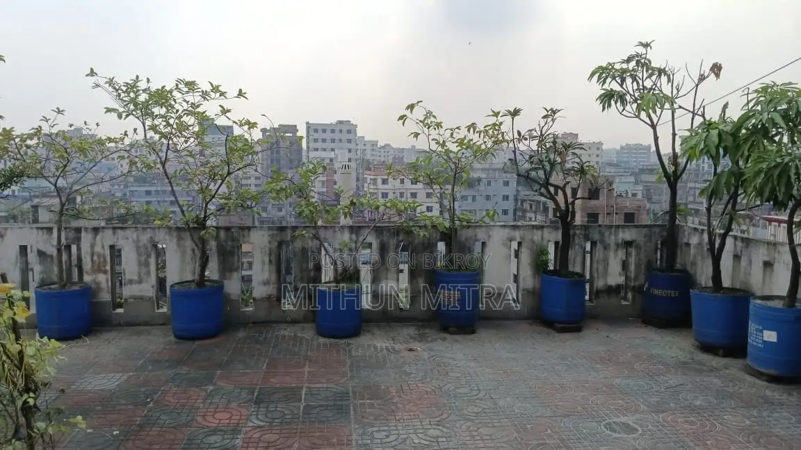 বিভিন্ন ফলের গাছ বিক্রি হবে