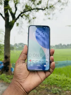 Apple iPhone 13 Pro Max 256 GB Blue