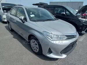 Toyota Axio 2021 Silver