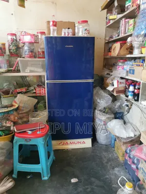 যমুনা ফ্রিজ