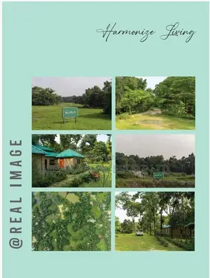 Plot for Sale