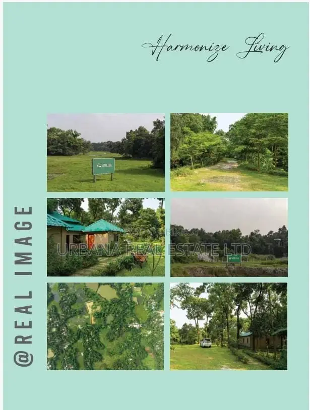 Plot for Sale