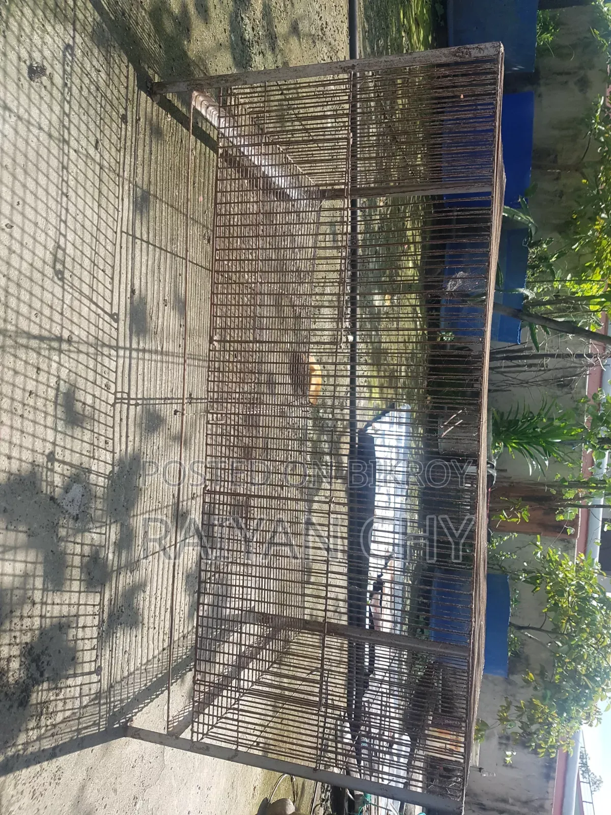 36 Inch Large Bird Cage | Middle Partition | 2 Door