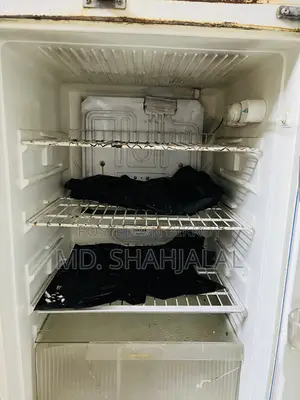 Singer FRIDGE