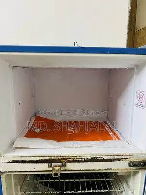 Singer FRIDGE
