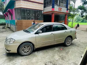 Toyota Corolla 2003 Gray